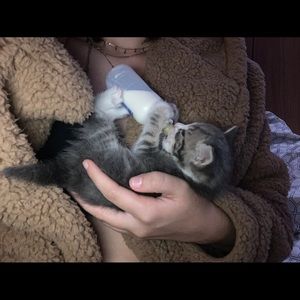 Meet your Posher, Jayna